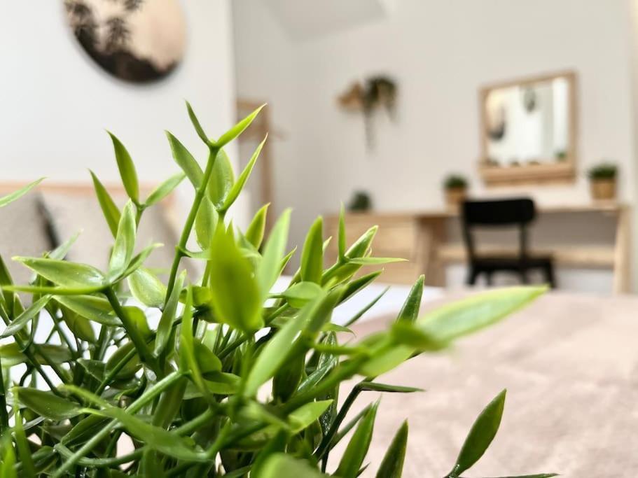 Apartamento Vive Zaragoza V Bagian luar foto
